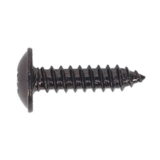 Self Tapping Screw 4.8x19mm Flanged Head Black Pozi BS 4174 - 100 Pack