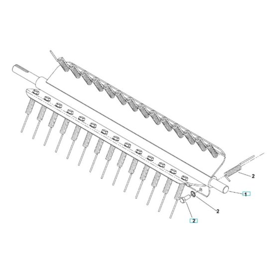 Spring Tine Assembly