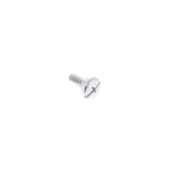 Screw for ECHO Machines - OEM No. 17723661830