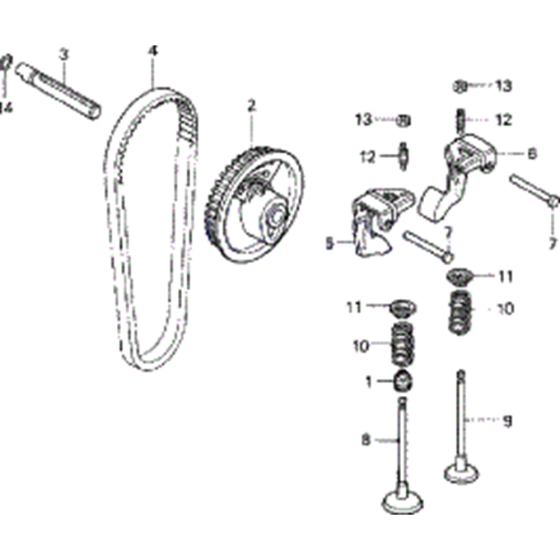 Camshaft Pulley Belt Assembly