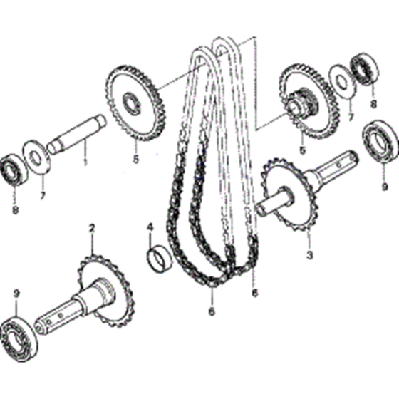 Chain and Sprockets Assembly