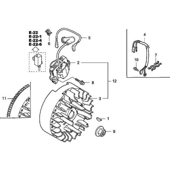 Flywheel & Ignition Coil Assembly