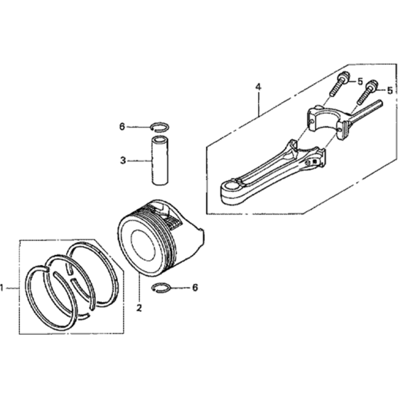 Piston & Connecting Rod Assembly