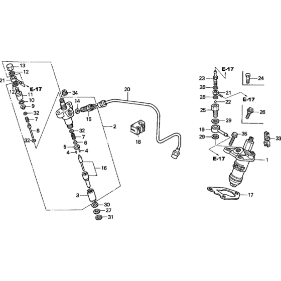 Fuel Injection Pump Assembly
