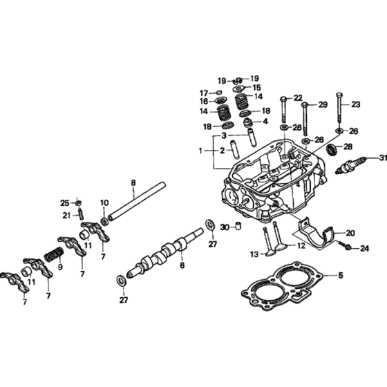 Cylinder Head Assembly