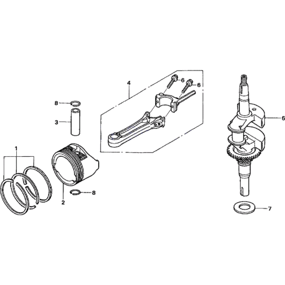 Crankshaft & Piston Assembly