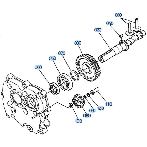 Camshaft Assembly for Kubota AT70S Tiller