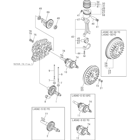 Crankshaft & Piston Assembly