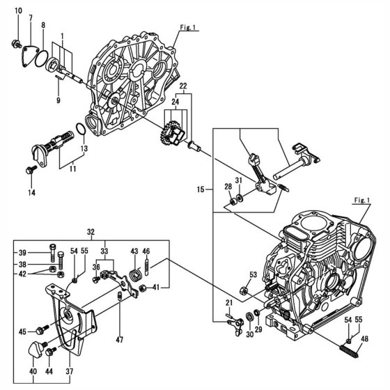 Oil Pump & Governor Assembly