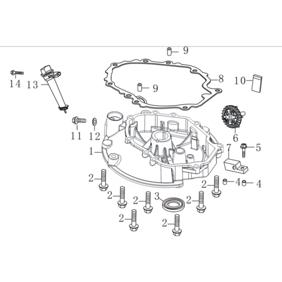 Crankcase Cover Assembly