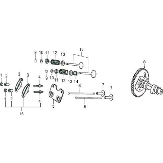Gas Distribution Assembly