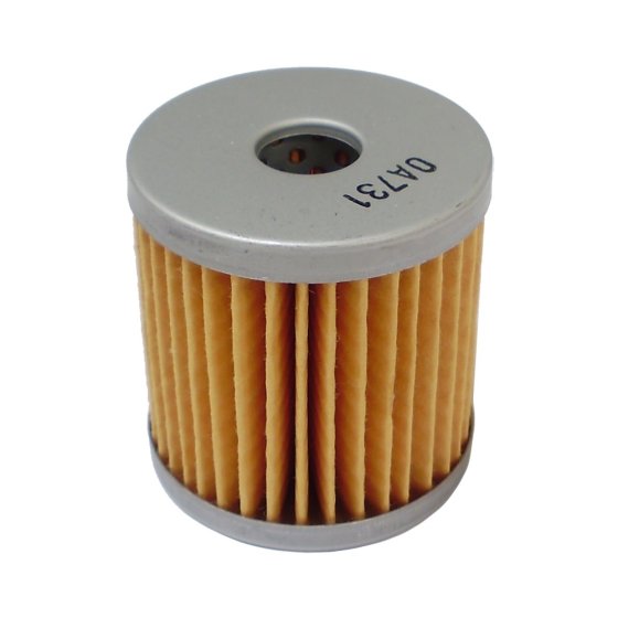 Fuel Filter, Cartridge Type fits Lombardini