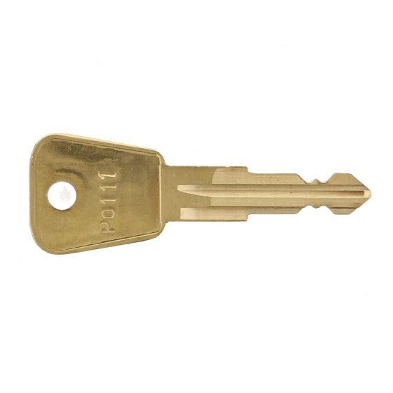 P0111 Replacement Plant Key (FT111) - OEM No 231/81404 