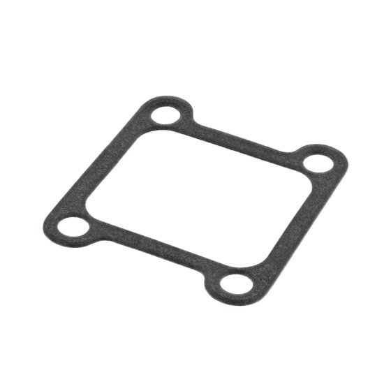 Lead Valve Gasket for Robin - OEM No. 541-35028-00