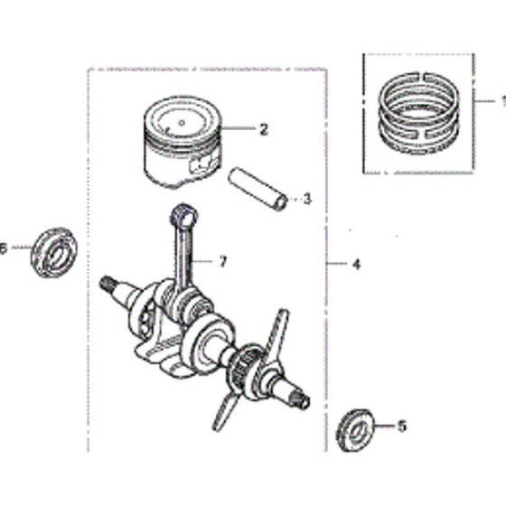 Crankshaft & Piston Assembly