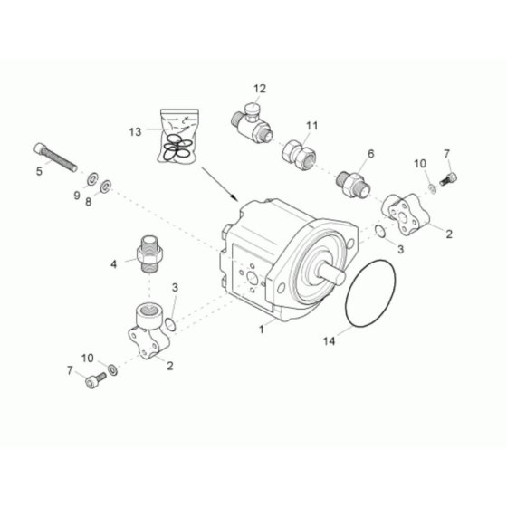 Gear Pump Assembly