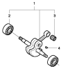 Crankshaft Assembly for 3120XP